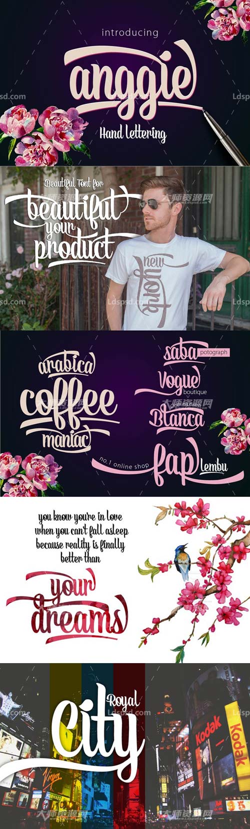 Anggie lettering typeface,时尚流行的英文字体集(9种类型)